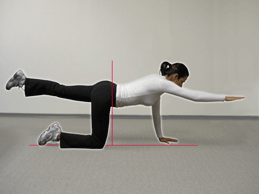 Figure 6A - While on all fours, raise your leg straight backwards and raise the opposite arm in front of you