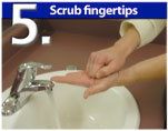 Scrub Fingertips