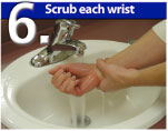 Scrub Each Wrist