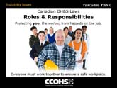 Roles & Responsibilities