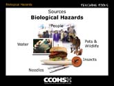 Biological Hazards