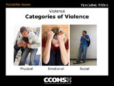 Categories of Violence