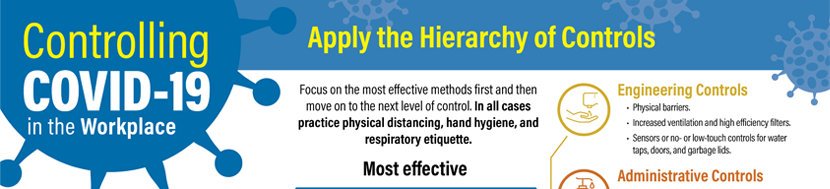 Infographic - COVID-19 hierarchy