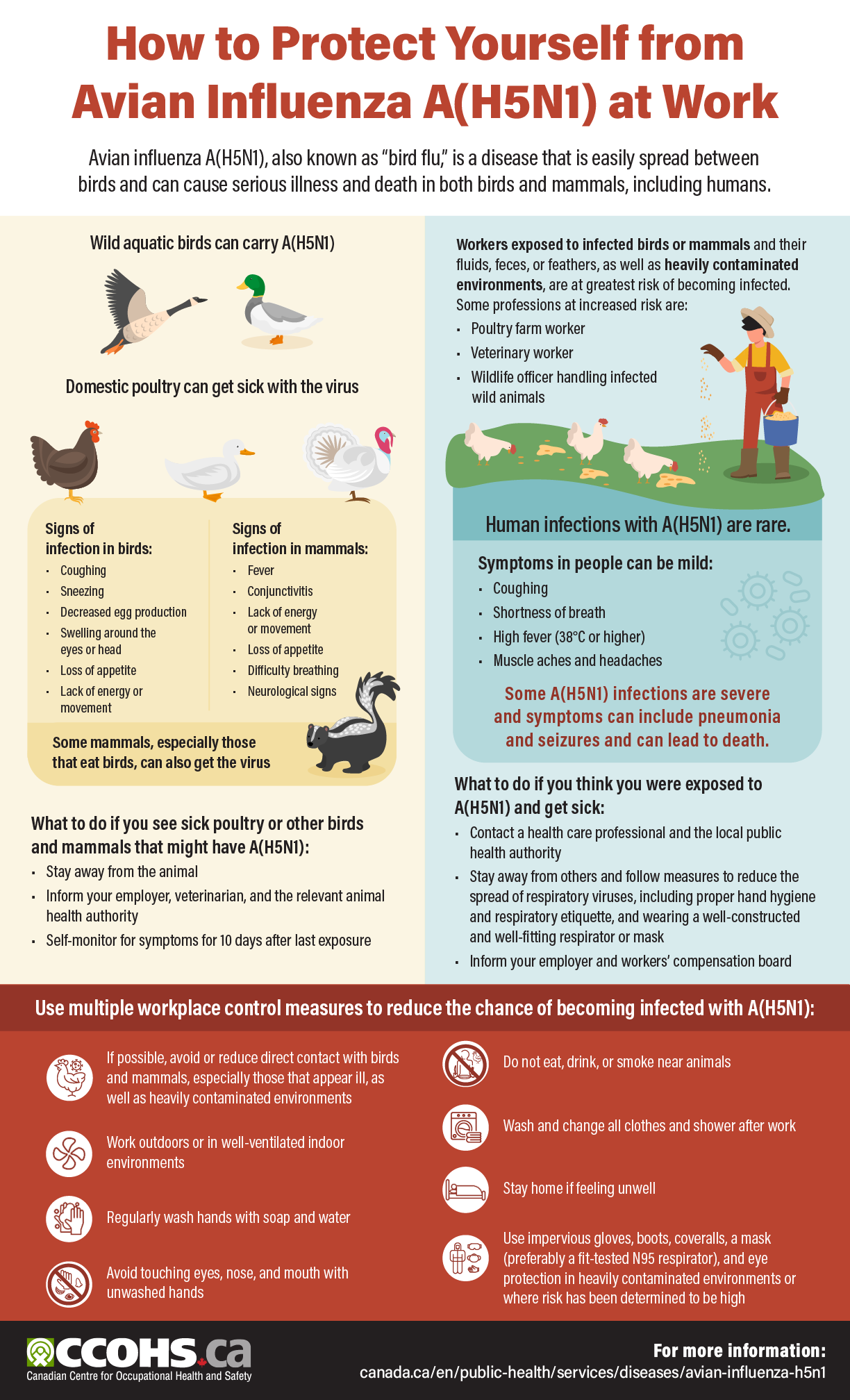 Infographic: COVID-19 Controls