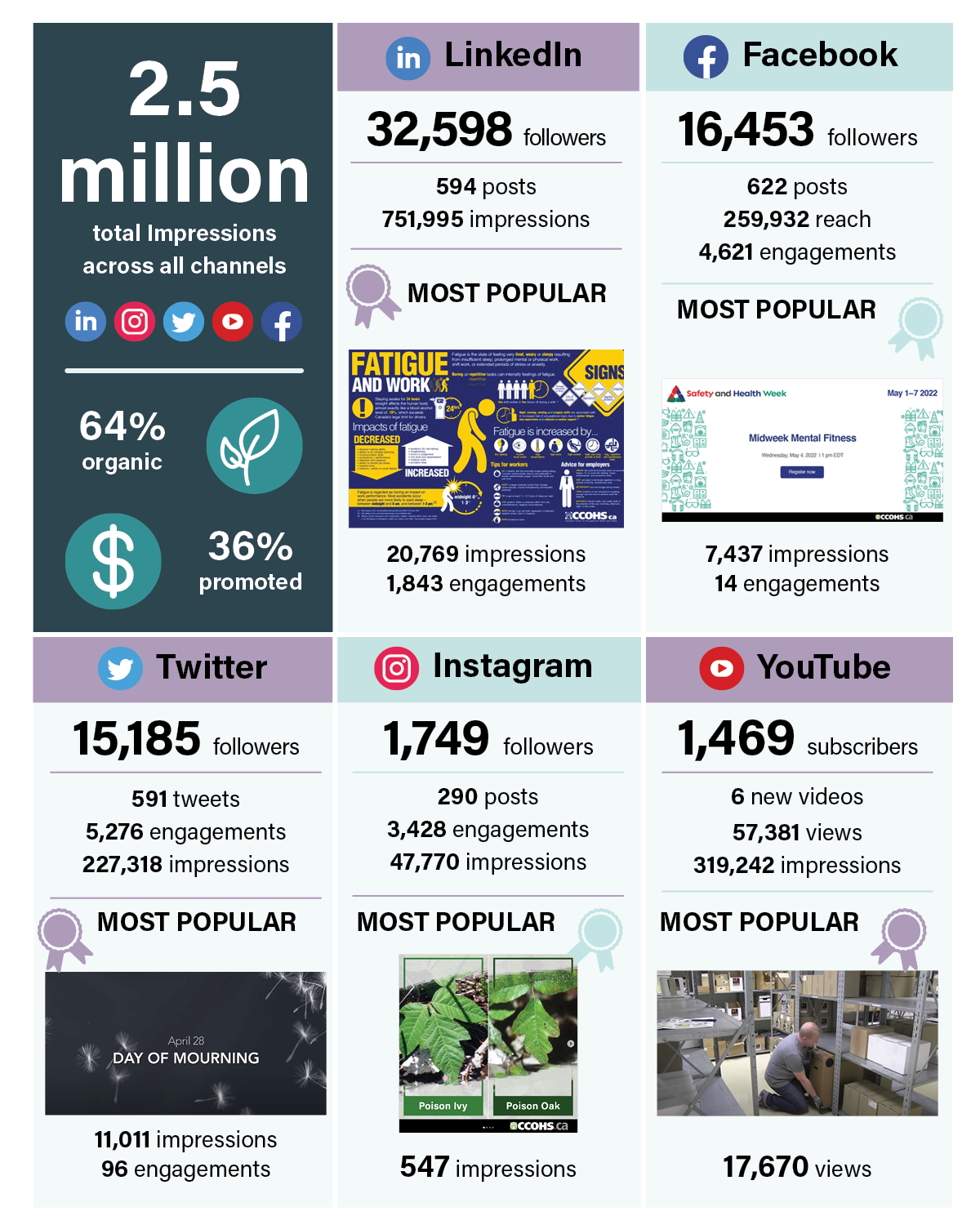 Organic Social Marketing Campaigns infographic