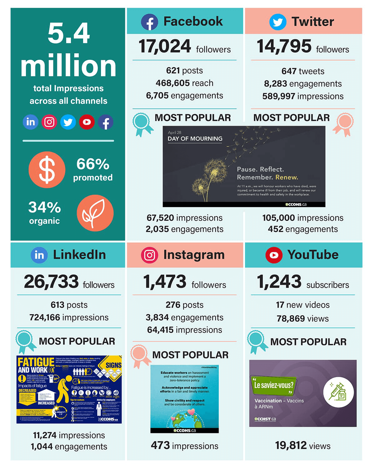 Organic Social Marketing Campaigns infographic