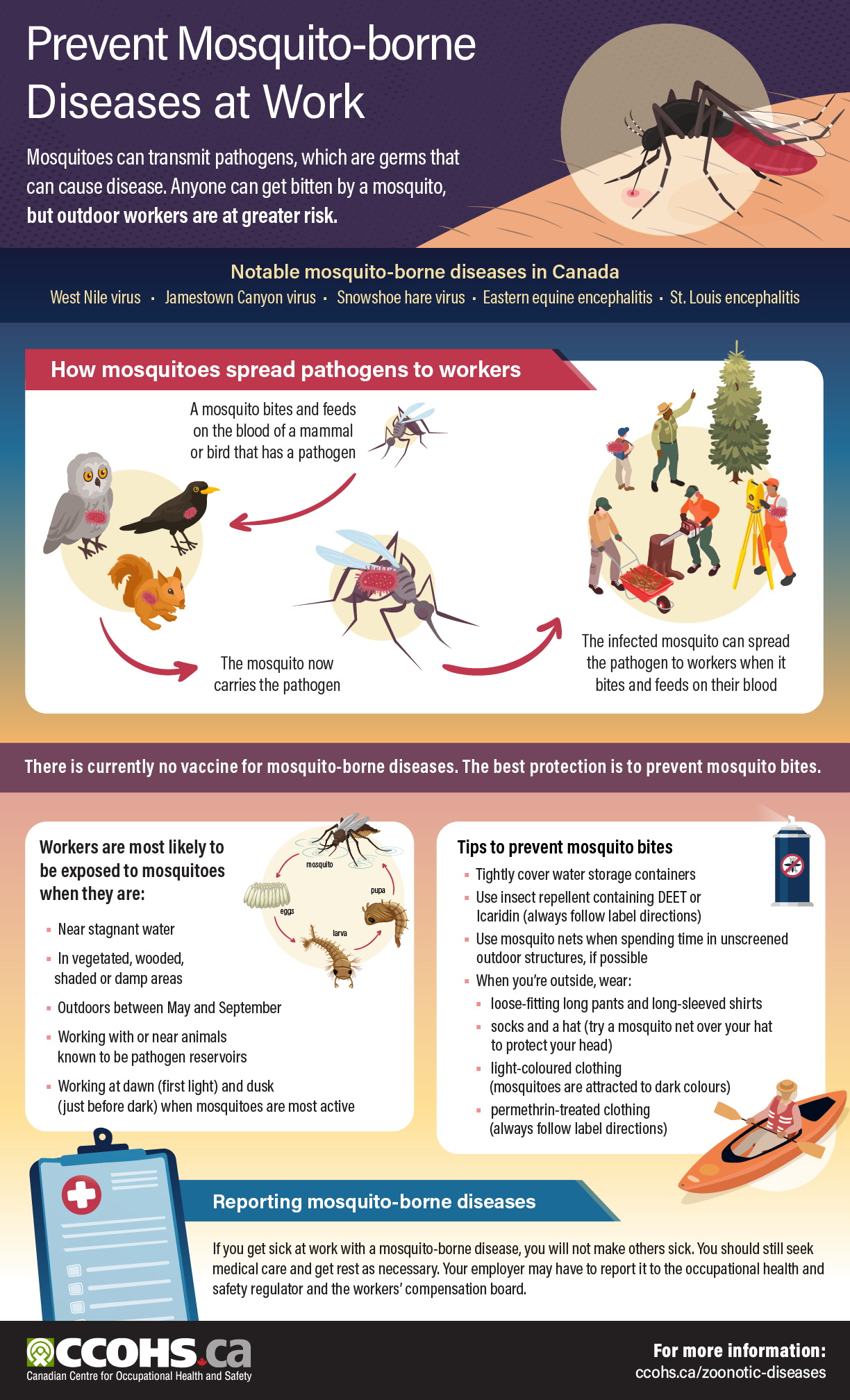 Infographic: COVID-19 Controls