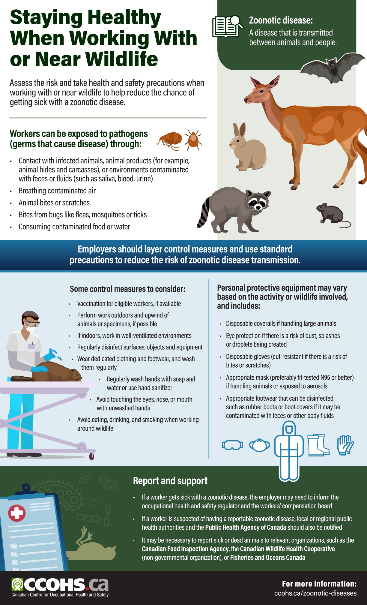 Infographic: COVID-19 Controls